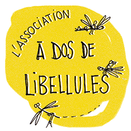 A dos de Libellules